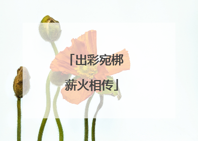 出彩宛梆 薪火相传