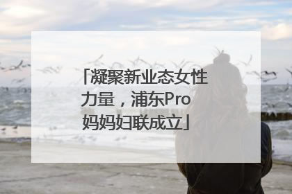 凝聚新业态女性力量，浦东Pro妈妈妇联成立