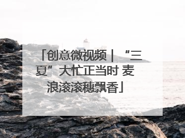 创意微视频｜“三夏”大忙正当时 麦浪滚滚穗飘香