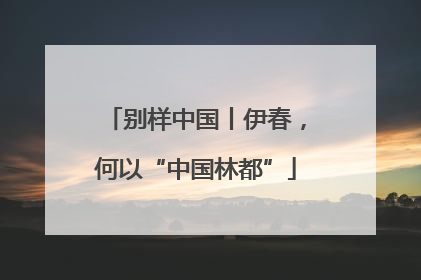 别样中国丨伊春，何以“中国林都”