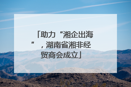 助力“湘企出海”，湖南省湘非经贸商会成立