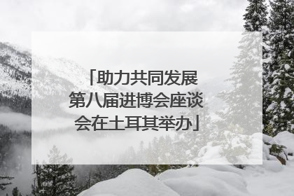助力共同发展 第八届进博会座谈会在土耳其举办