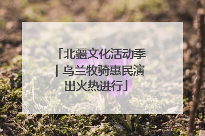 北疆文化活动季｜乌兰牧骑惠民演出火热进行