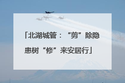 北湖城管：“剪”除隐患树“修”来安居行
