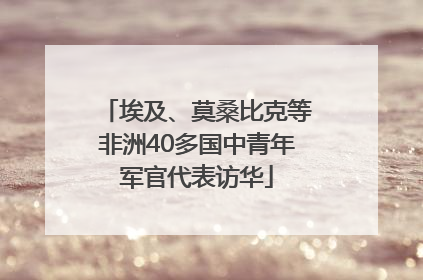 埃及、莫桑比克等非洲40多国中青年军官代表访华