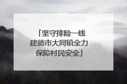 坚守排险一线 建德市大同镇全力保障村民安全