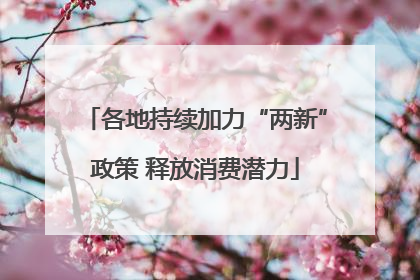 各地持续加力“两新”政策 释放消费潜力