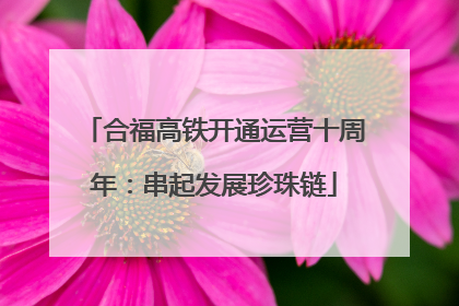 合福高铁开通运营十周年：串起发展珍珠链