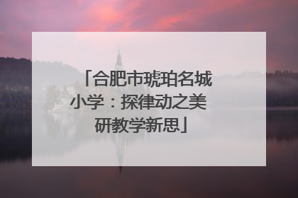 合肥市琥珀名城小学：探律动之美 研教学新思