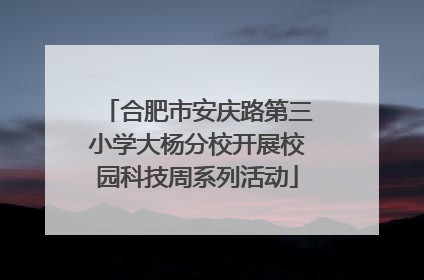合肥市安庆路第三小学大杨分校开展校园科技周系列活动