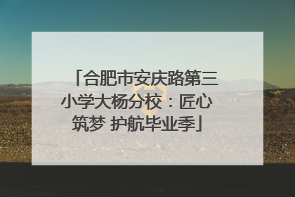 合肥市安庆路第三小学大杨分校：匠心筑梦 护航毕业季