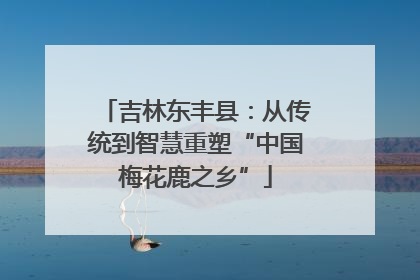 吉林东丰县：从传统到智慧重塑“中国梅花鹿之乡”
