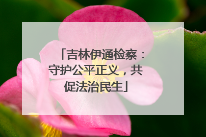 吉林伊通检察：守护公平正义，共促法治民生