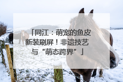 同江：萌宠的鱼皮新装刷屏！非遗技艺与“萌态跨界”
