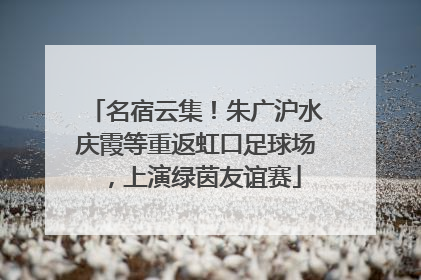 名宿云集！朱广沪水庆霞等重返虹口足球场，上演绿茵友谊赛