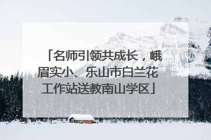 名师引领共成长，峨眉实小、乐山市白兰花工作站送教南山学区