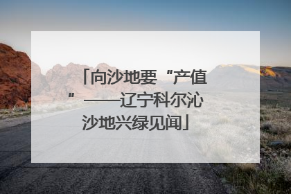 向沙地要“产值”——辽宁科尔沁沙地兴绿见闻
