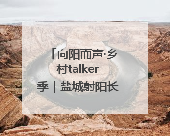向阳而声·乡村talker季｜盐城射阳长荡镇辩论式宣讲有看头有热度