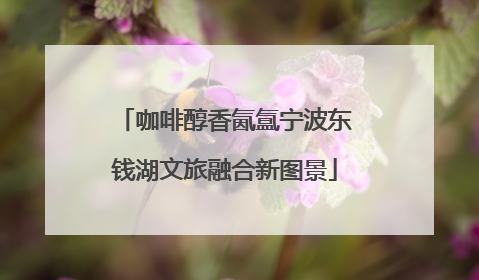 咖啡醇香氤氲宁波东钱湖文旅融合新图景