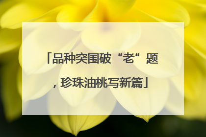 品种突围破“老”题，珍珠油桃写新篇