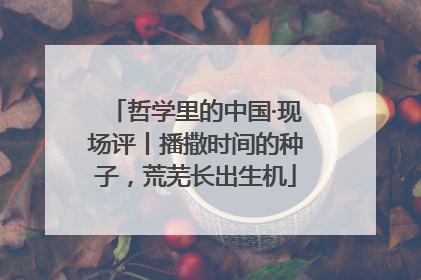 哲学里的中国·现场评丨播撒时间的种子，荒芜长出生机