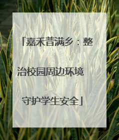 嘉禾普满乡：整治校园周边环境 守护学生安全