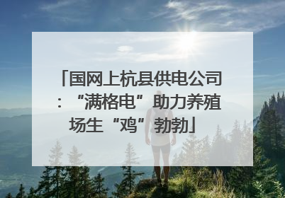国网上杭县供电公司：“满格电”助力养殖场生“鸡”勃勃
