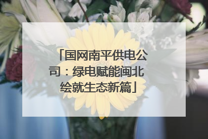 国网南平供电公司：绿电赋能闽北 绘就生态新篇