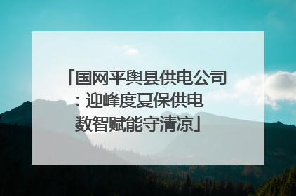 国网平舆县供电公司：迎峰度夏保供电  数智赋能守清凉