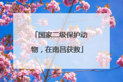 国家二级保护动物，在南昌获救