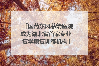 国药东风茅箭医院成为湖北省首家专业复学康复训练机构