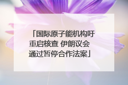 国际原子能机构吁重启核查 伊朗议会通过暂停合作法案
