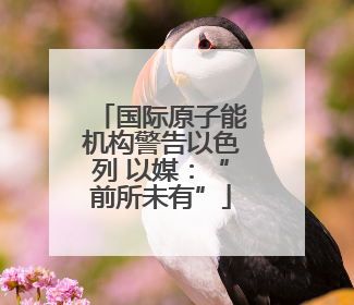 国际原子能机构警告以色列 以媒：“前所未有”