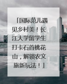 国际范儿遇见乡村美！长江大学留学生打卡石首桃花山，解锁农文旅新玩法！