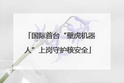 国际首台“壁虎机器人”上岗守护核安全
