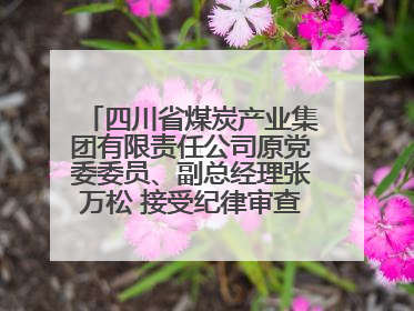 四川省煤炭产业集团有限责任公司原党委委员、副总经理张万松 接受纪律审查和监察调查