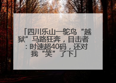 四川乐山一鸵鸟“越狱”马路狂奔，目击者：时速超40码，还对我“笑”了下