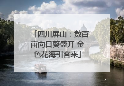 四川屏山：数百亩向日葵盛开 金色花海引客来