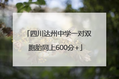 四川达州中学一对双胞胎同上600分+