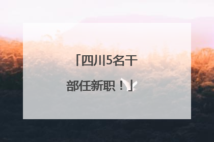 四川5名干部任新职！