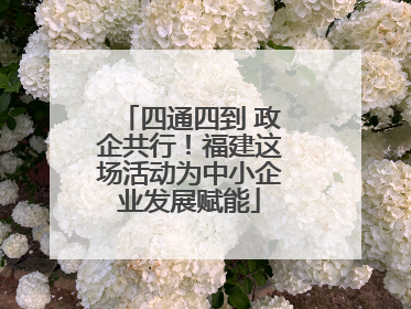 四通四到 政企共行！福建这场活动为中小企业发展赋能