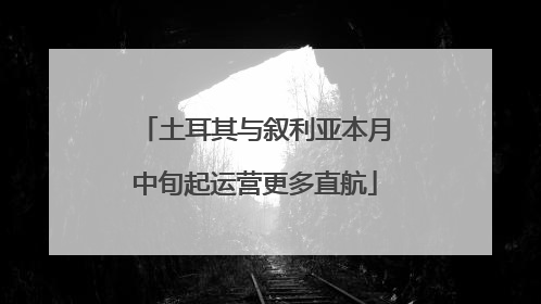 土耳其与叙利亚本月中旬起运营更多直航