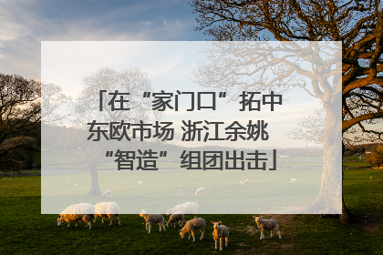 在“家门口”拓中东欧市场 浙江余姚“智造”组团出击