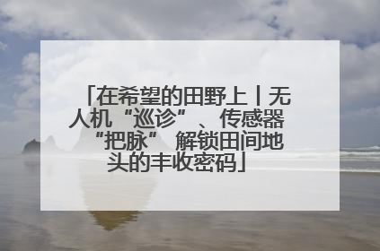 在希望的田野上丨无人机“巡诊”、传感器“把脉” 解锁田间地头的丰收密码
