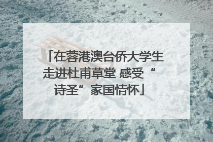 在蓉港澳台侨大学生走进杜甫草堂 感受“诗圣”家国情怀