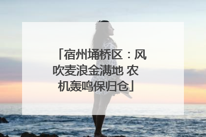 宿州埇桥区：风吹麦浪金满地 农机轰鸣保归仓