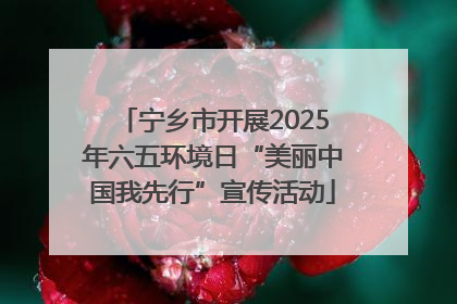 宁乡市开展2025年六五环境日“美丽中国我先行”宣传活动