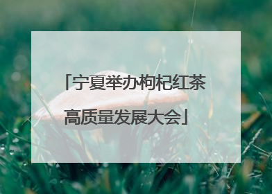 宁夏举办枸杞红茶高质量发展大会
