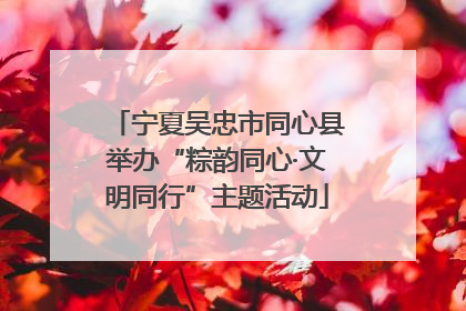 宁夏吴忠市同心县举办“粽韵同心·文明同行”主题活动