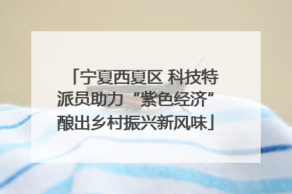宁夏西夏区 科技特派员助力“紫色经济”酿出乡村振兴新风味
